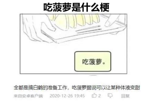 梗菠萝是什么意思