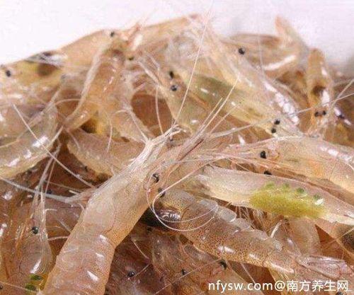白对虾营养价值