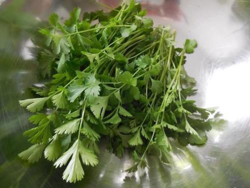 芫荽的读音是什么