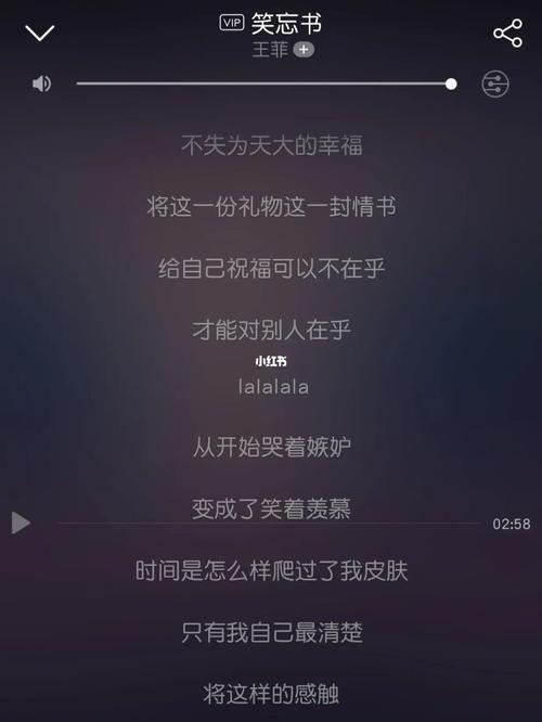 笑忘书这首歌什么意思
