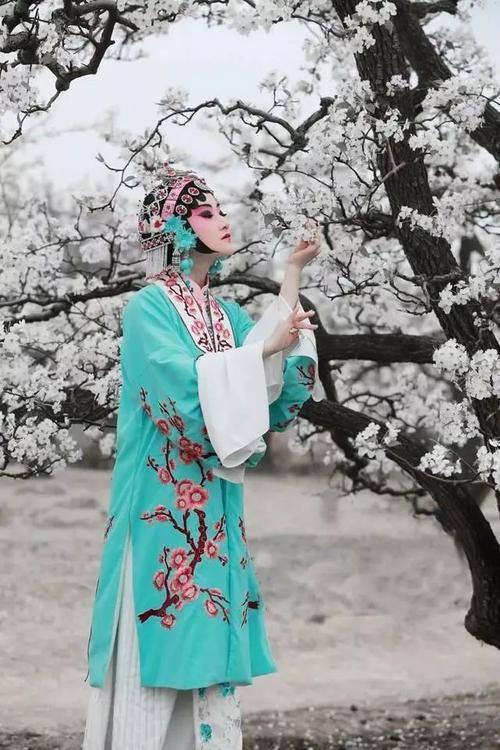 白衣青衣诗词