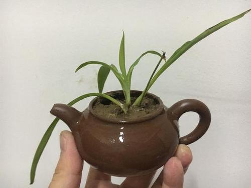 请教，灌浆化工壶有哪些特点