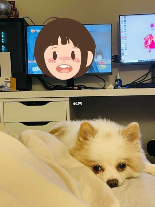 可爱在线什么意思