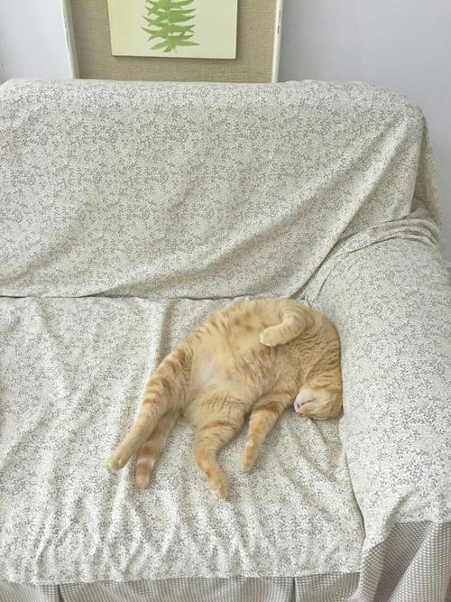 本人已累瘫朋友圈搞笑