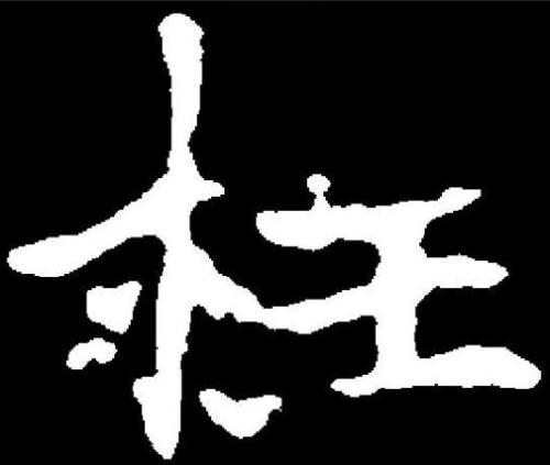 枉()怎么组词