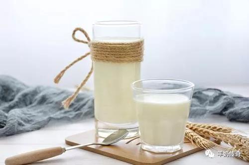羊可以喝奶茶吗