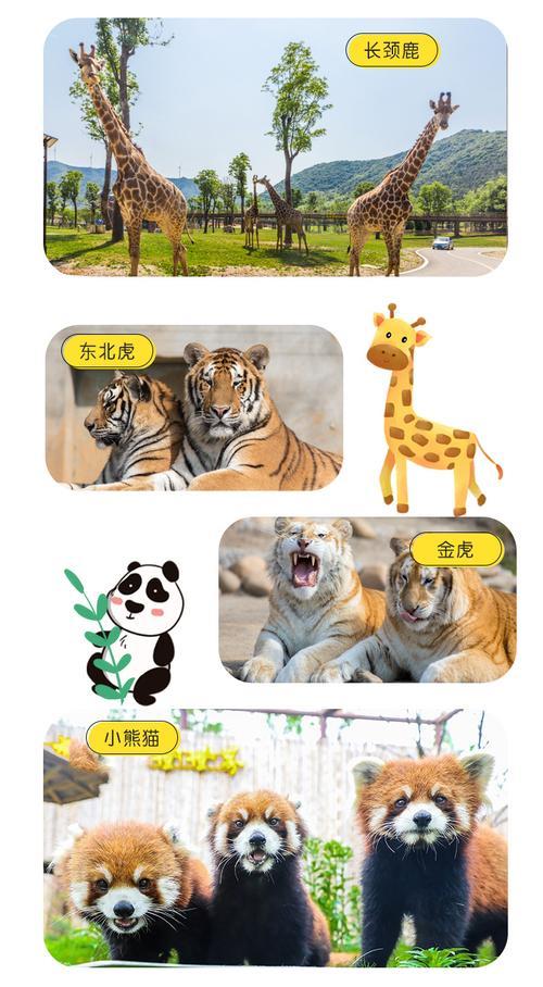 太湖动物园门票