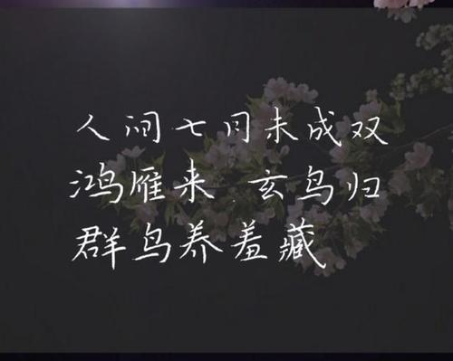听风过人间什么意思