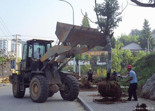 华年不盖房是什么意思