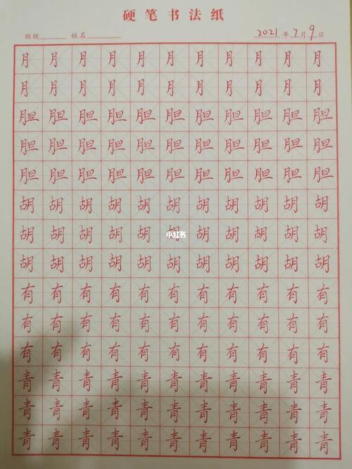带有月字旁的词