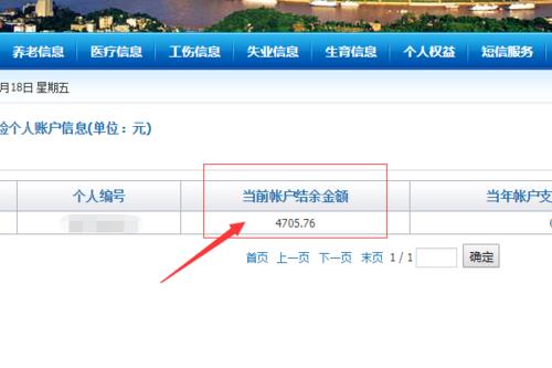 广西医保官网查询登录入口