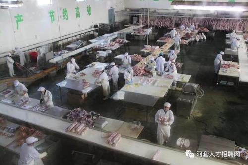 招聘放羊工人包吃住