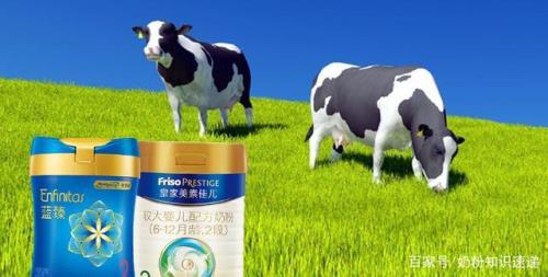 黄盖蓝臻和蓝盖蓝臻哪个好