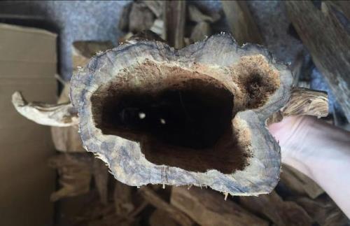 沉香玉化了还有价值吗