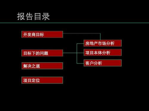 项目定位什么意思