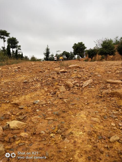 风化石有什么用