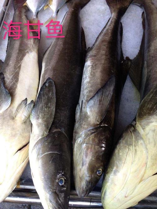 鱼是海鲜么