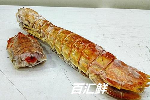 濑尿虾时间