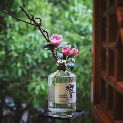 惜缘随缘不攀缘是什么意思