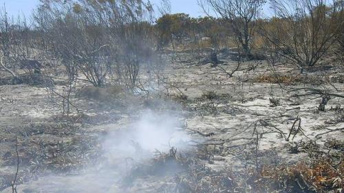 棕榈油的自燃温度是多少度