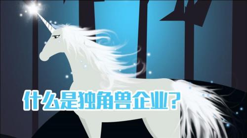 什么叫独角兽企业