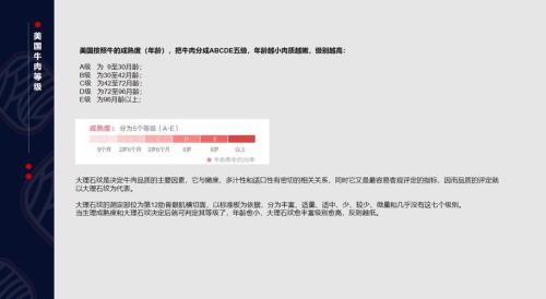 红标蓝标什么区别新西兰牛肉
