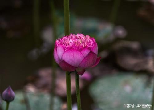 别人的善意忠告怎么感谢
