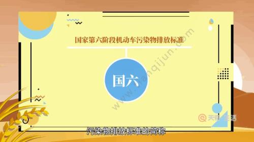 国一到国六标识