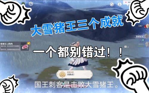 原神大雪猪王没掉肉怎么办