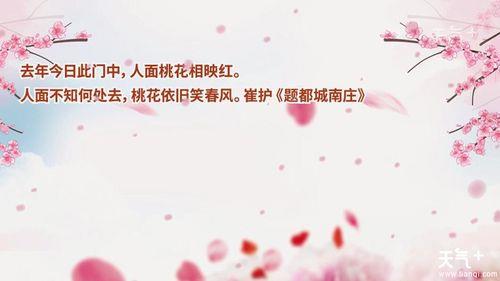 崔护写桃花的诗