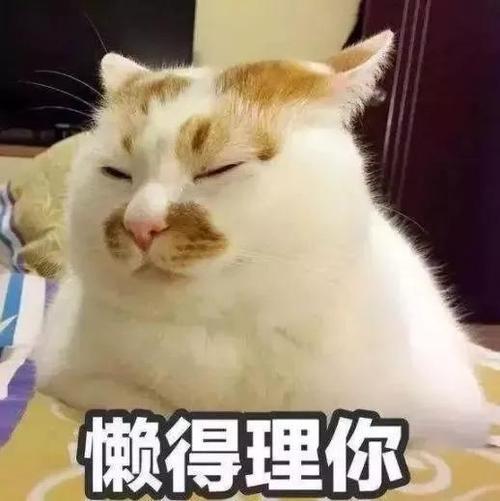 好烦啊什么意思