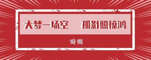 孤影形单的意思