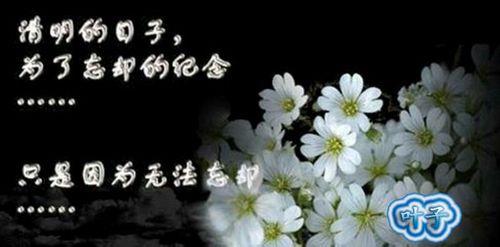 怀念天堂的丈夫歌曲