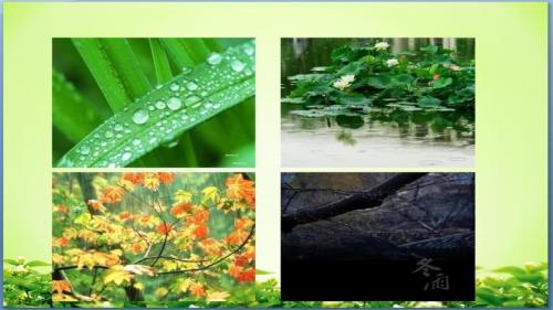 雨的四季秋雨图赏析句子
