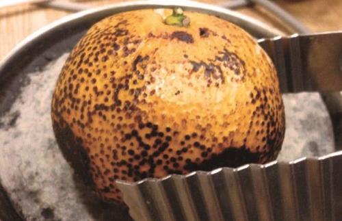 烤橘子可以用橙子代替吗