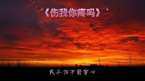 爱也爱过了痛也痛过了原唱