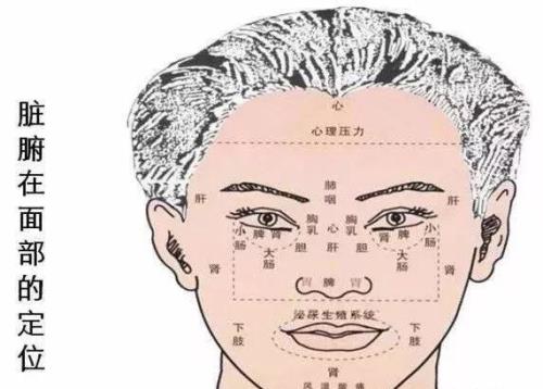 两眼之间的部位叫什么