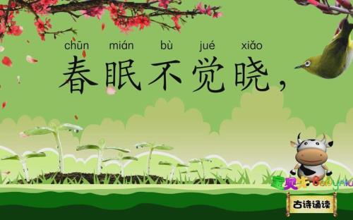 春晓诵读完整版