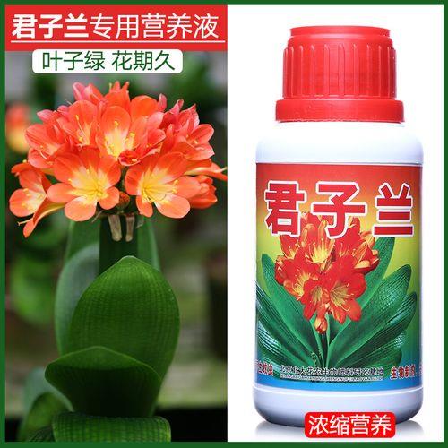 花成开，有这样的肥料吗