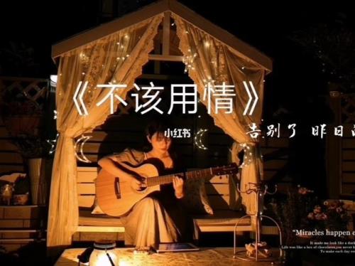 不该用情国语原唱