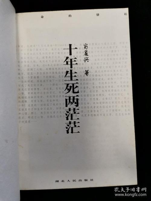 十年生死两茫茫八个数字