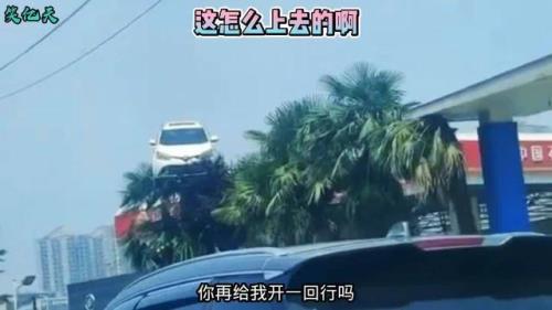 上天入地怎么造句