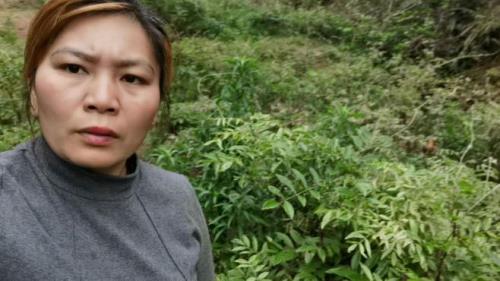 回家种牛是什么意思网络语