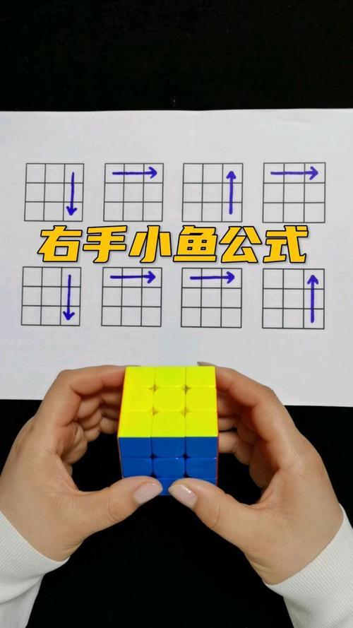 三阶魔方鱼头公式