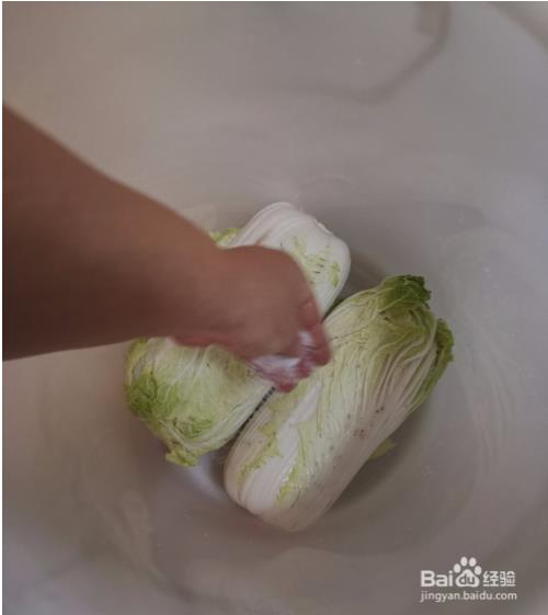 黄磊腌酸菜不烂的诀窍