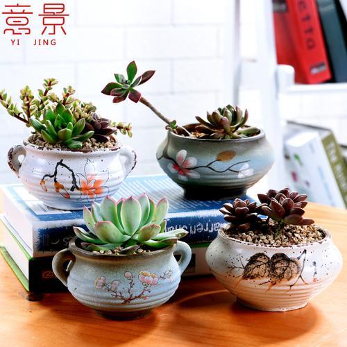 装盆栽的盆叫什么名字