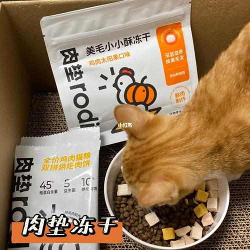 猫咪可以吃人的冻干吗