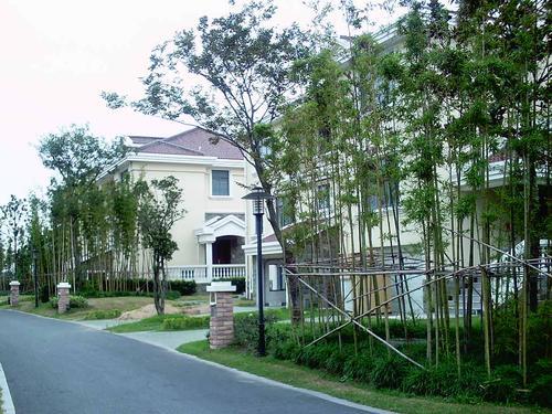 嘉定十大高档小区