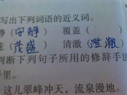 沉思近义词