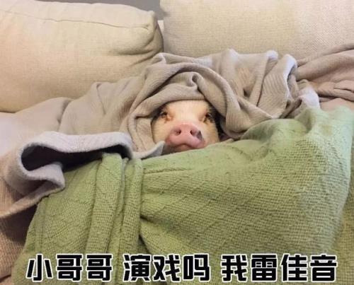 问小哥哥在吗怎么幽默